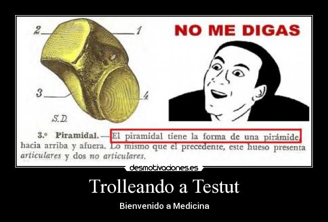 carteles testut medicina digas meme huesos redundante reburrante desmotivaciones
