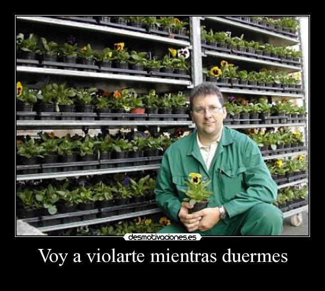 Voy a violarte mientras duermes -