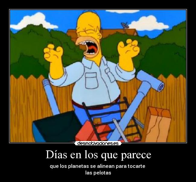 carteles todos tenemos dias asi homer barbacoa los simpsons desmotivaciones