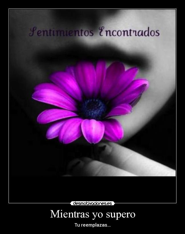 carteles dada dolor sufrimiento sirven para nada desmotivaciones