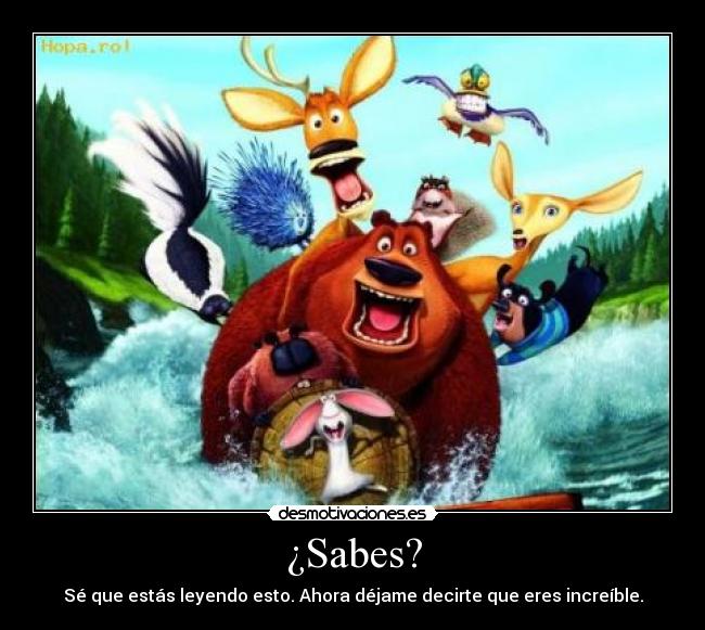 ¿Sabes? - Sé que estás leyendo esto. Ahora déjame decirte que eres increíble.