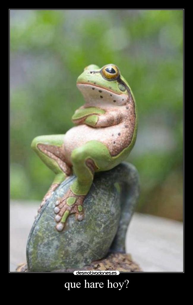 que hare hoy? -