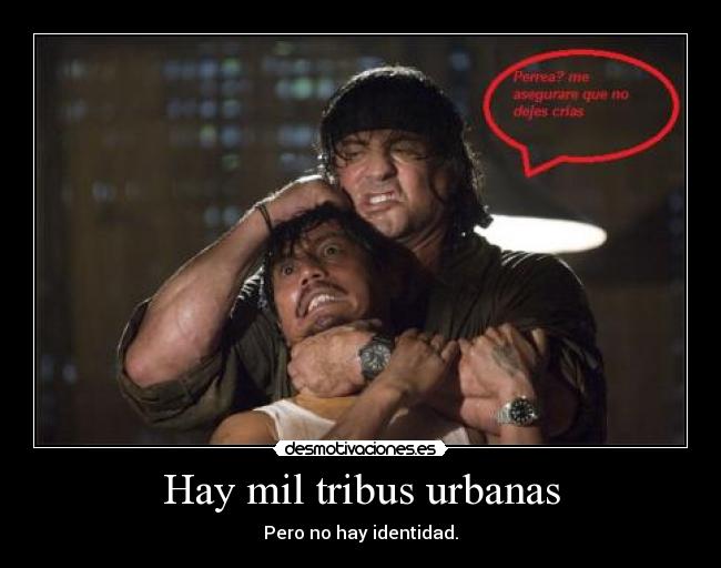 Hay mil tribus urbanas - Pero no hay identidad.