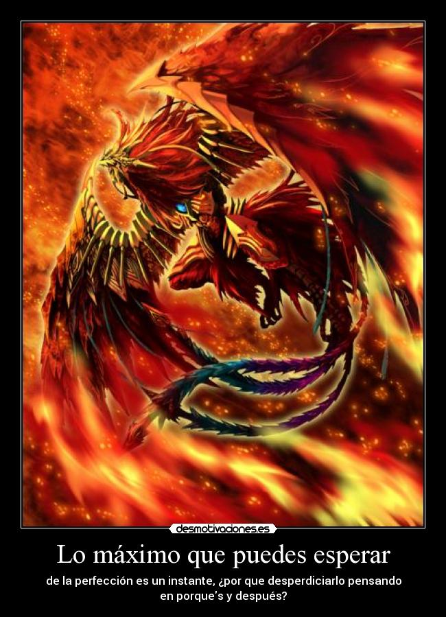Lo máximo que puedes esperar - de la perfección es un instante, ¿por que desperdiciarlo pensando
en porques y después?
