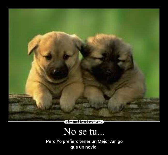 No se tu... -