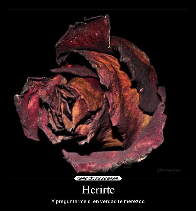 Herirte - Y preguntarme si en verdad te merezco