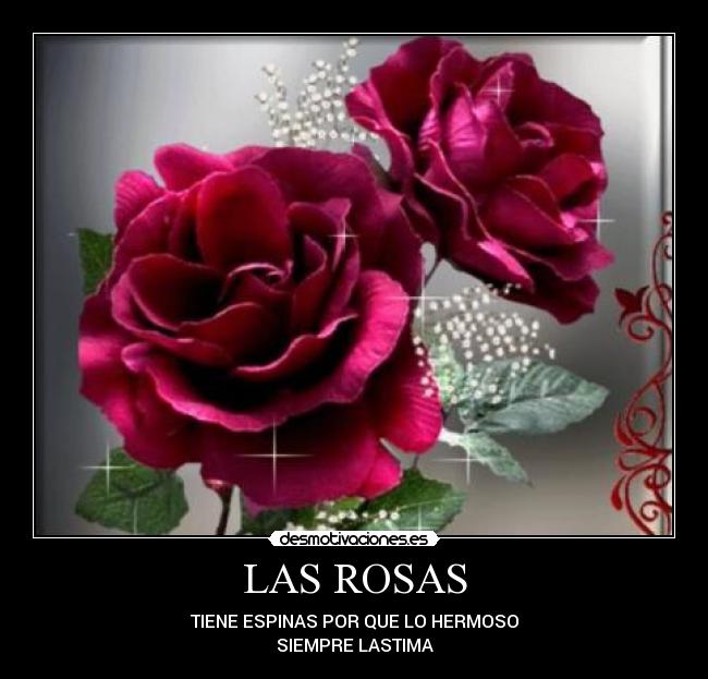 LAS ROSAS - TIENE ESPINAS POR QUE LO HERMOSO
SIEMPRE LASTIMA