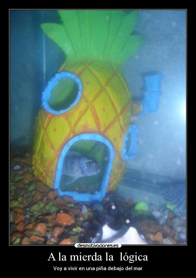 A la mierda la lógica -