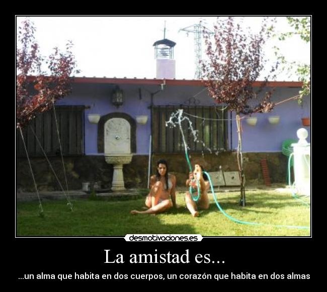 carteles amistad teresa20 desmotivaciones
