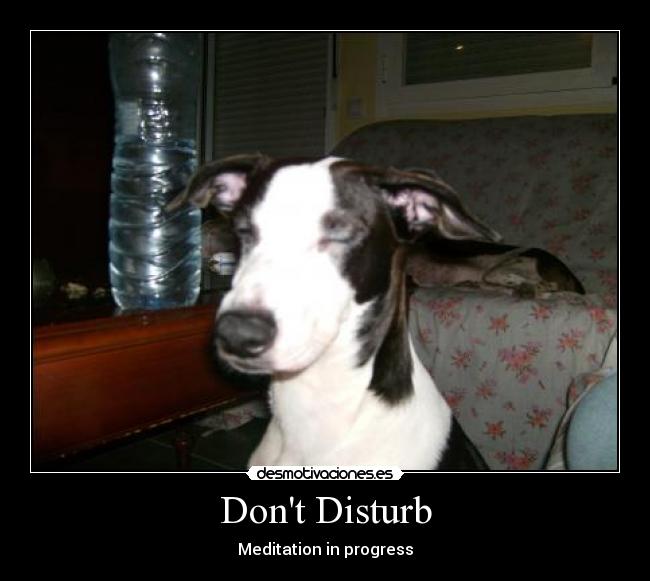 Dont Disturb - Meditation in progress