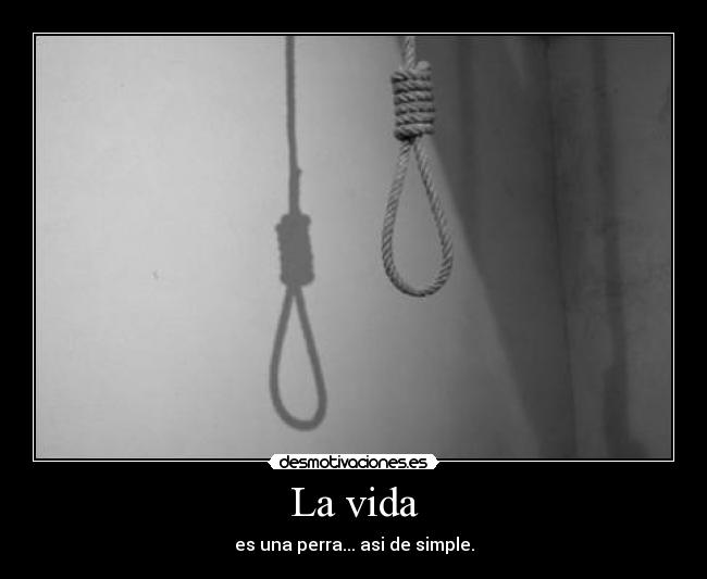La vida - es una perra... asi de simple.