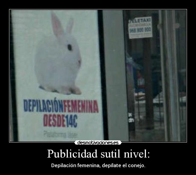 carteles depilacion femenina depilate conejo desmotivaciones