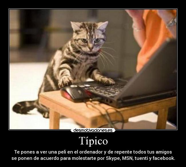 Típico - 