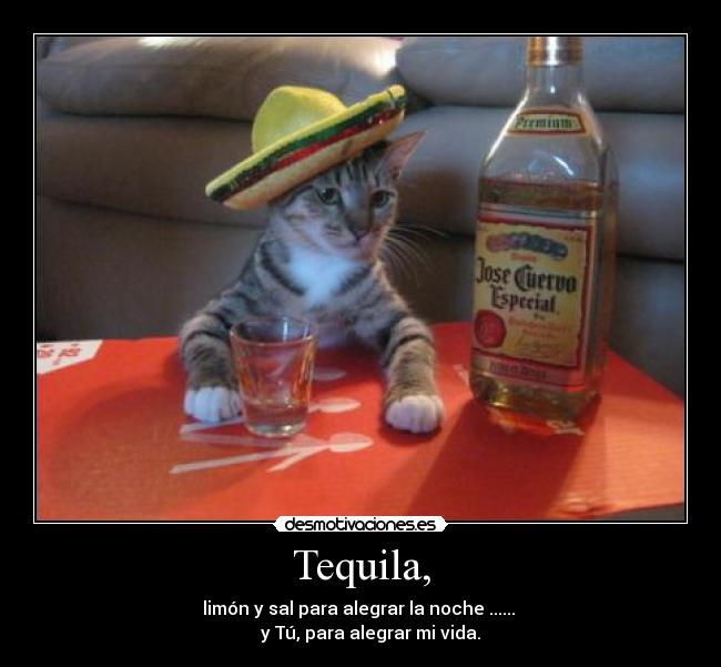 Tequila, - limón y sal para alegrar la noche ...... 
 y Tú, para alegrar mi vida.