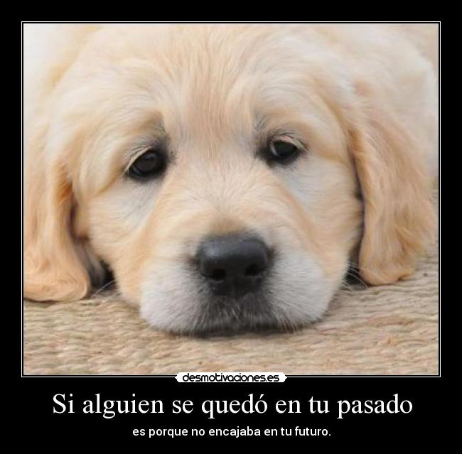 Si alguien se quedó en tu pasado - 