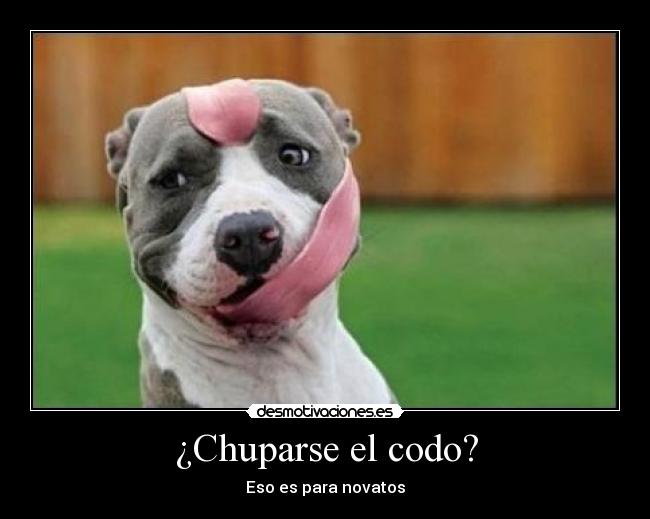 ¿Chuparse el codo? - 