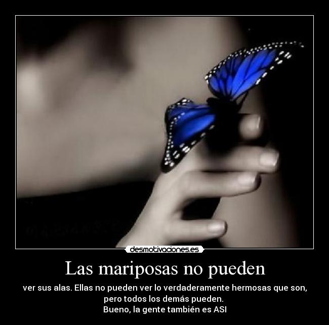 Las mariposas no pueden - 