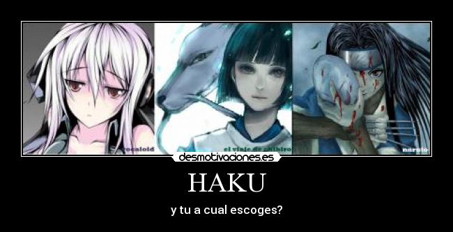 HAKU -