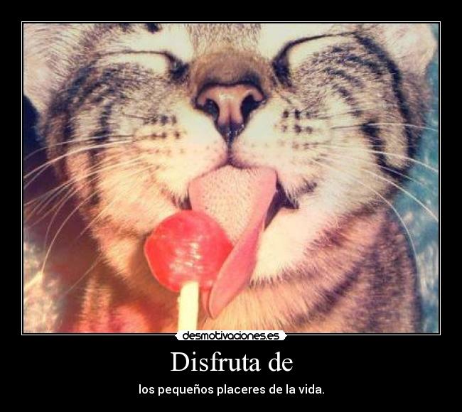 Disfruta de - los pequeños placeres de la vida.