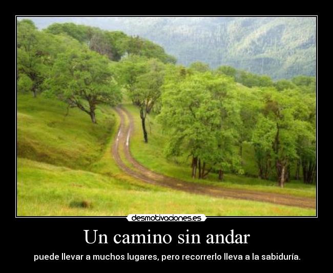 carteles sabiduria camino andar desmotivaciones