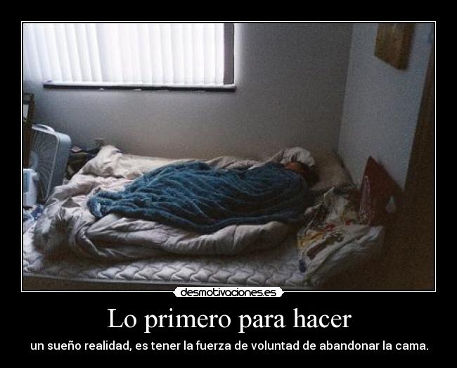 carteles cuidando cuenta gatos quedo sin ideas desmotivaciones