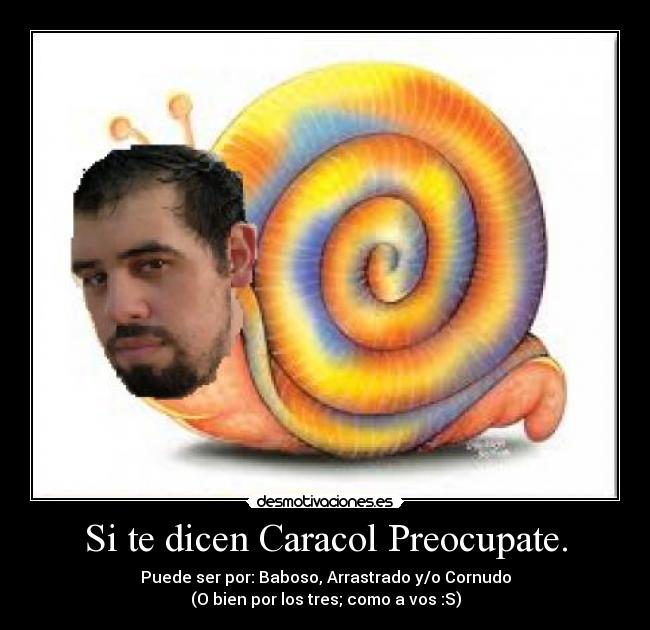 carteles maxiocampo desmotivaciones