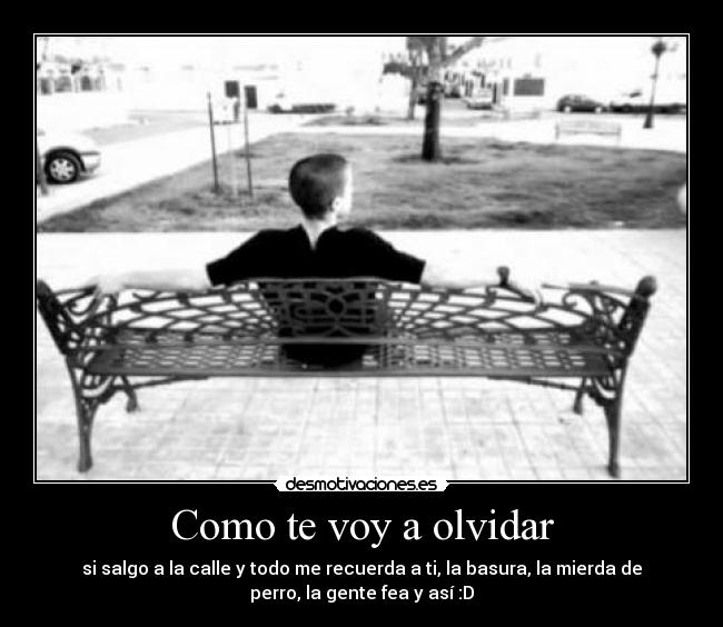 carteles olvidar raul alvarez 9630 desmotivaciones