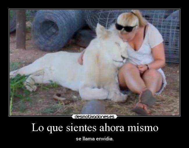 Lo que sientes ahora mismo - se llama envidia.