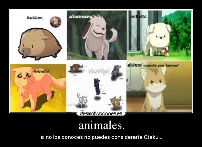 animales. -