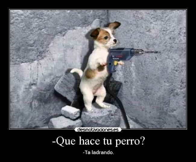 -Que hace tu perro? -