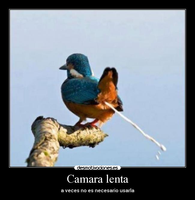 Camara lenta - 