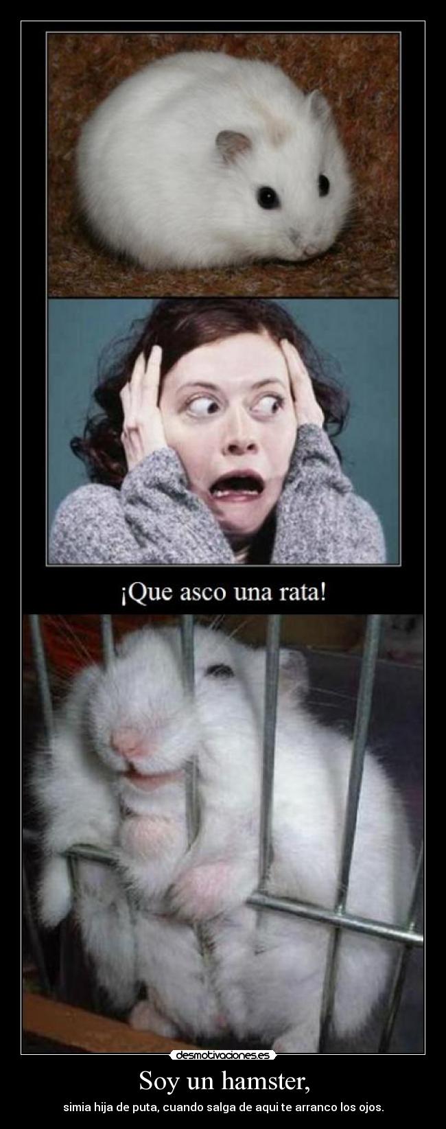 Soy un hamster, - 