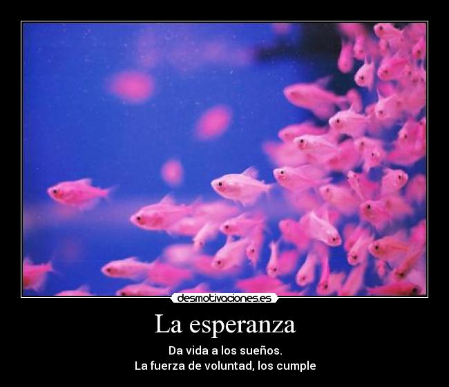 carteles esperanza peces mar rosa desmotivaciones