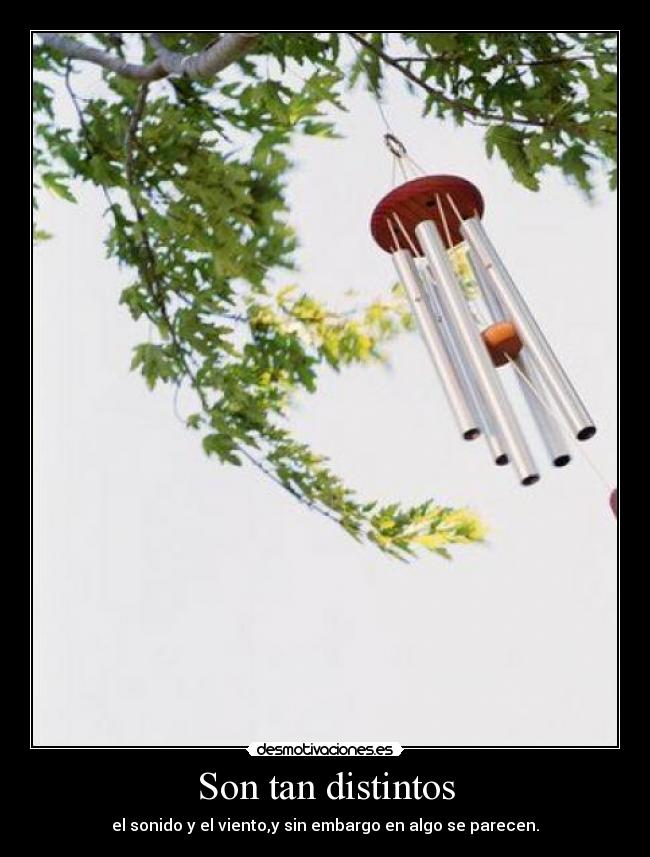 Son tan distintos - el sonido y el viento,y sin embargo en algo se parecen.