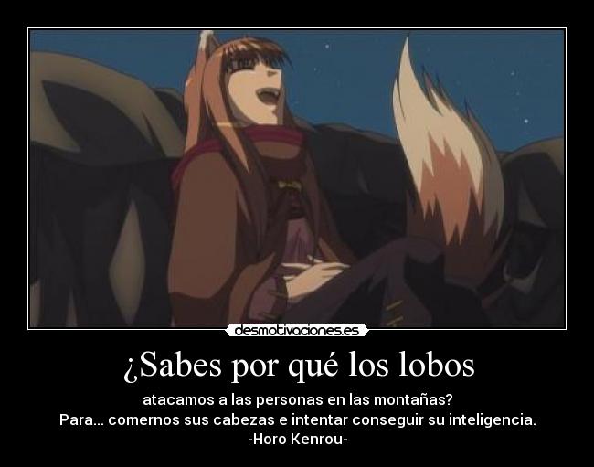 ¿Sabes por qué los lobos -