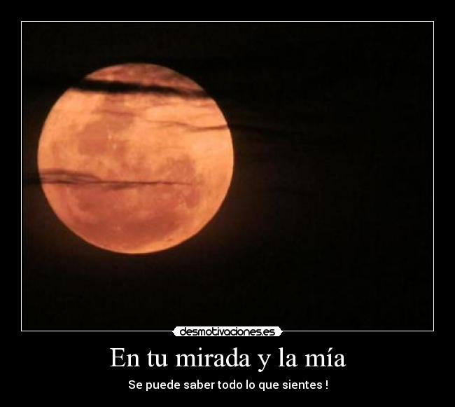 carteles jum desmotivaciones