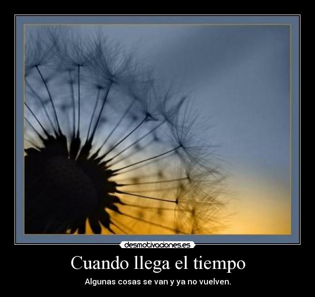 Cuando llega el tiempo - 