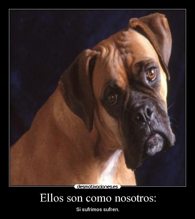 carteles sufrimiento desmotivaciones