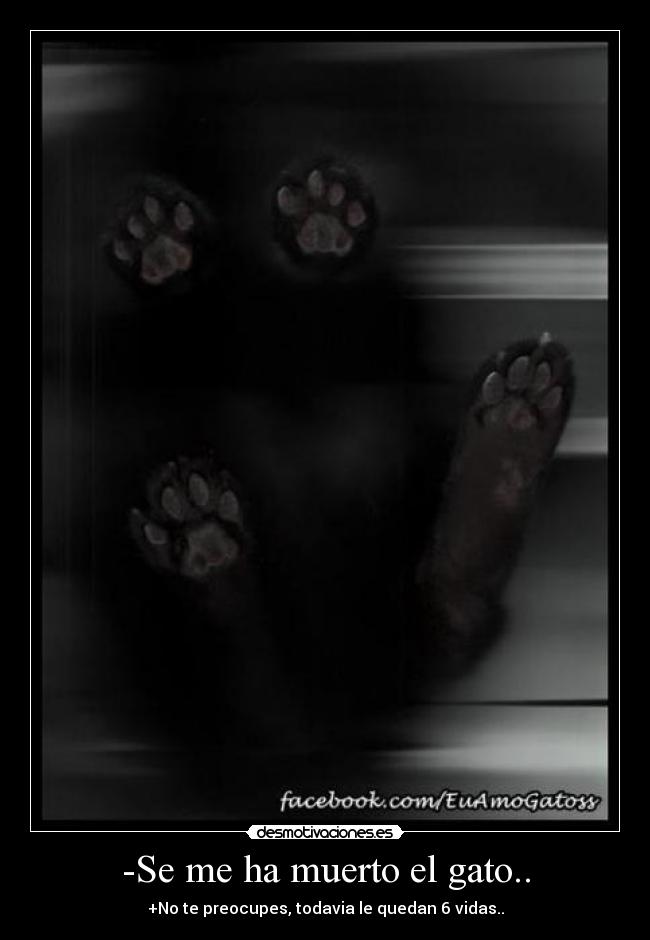-Se me ha muerto el gato.. - +No te preocupes, todavia le quedan 6 vidas..