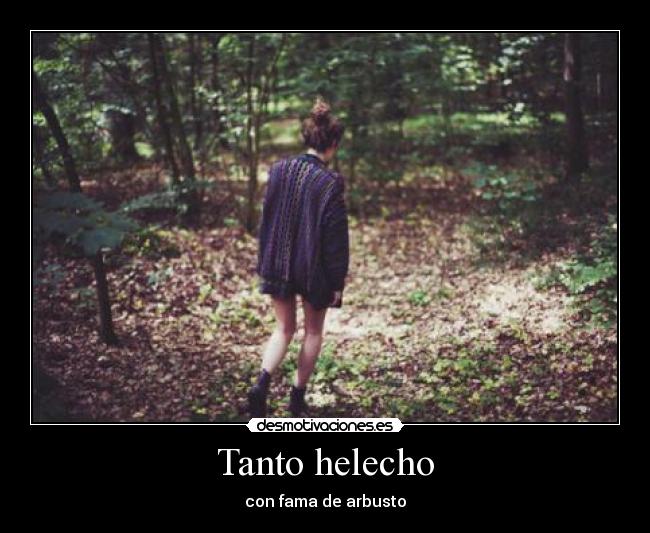 Tanto helecho - con fama de arbusto