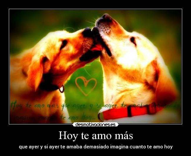 Hoy te amo más - que ayer y si ayer te amaba demasiado imagina cuanto te amo hoy
