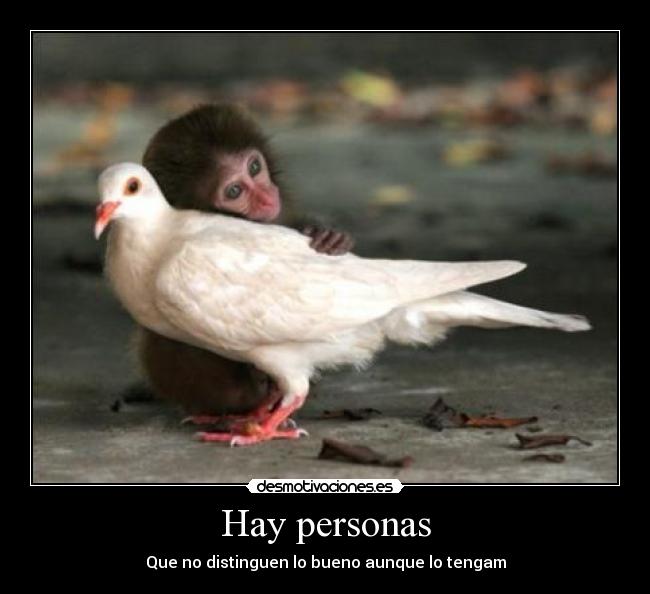 carteles hay personas desmotivaciones