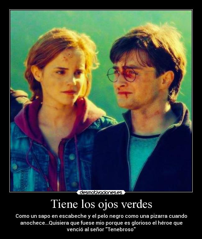 carteles harry potter desmotivaciones