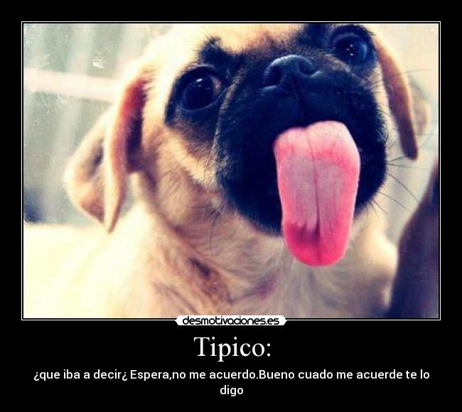 Tipico: - ¿que iba a decir¿ Espera,no me acuerdo.Bueno cuado me acuerde te lo digo