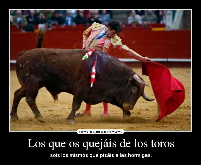 Los que os quejáis de los toros - sois los mismos que pisáis a las hormigas.