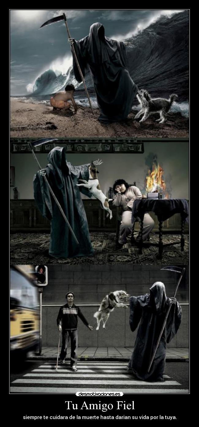 carteles jhoel desmotivaciones