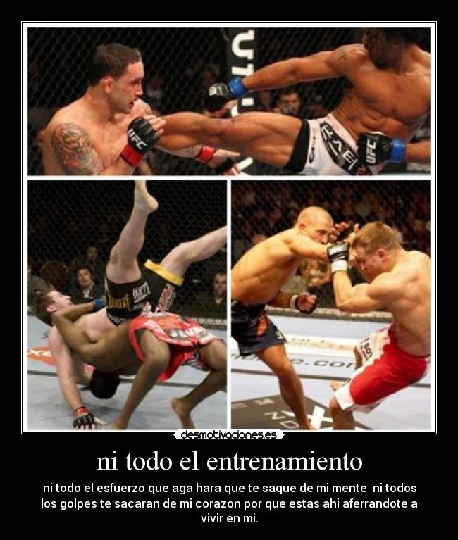 ni todo el entrenamiento - ni todo el esfuerzo que aga hara que te saque de mi mente  ni todos
los golpes te sacaran de mi corazon por que estas ahi aferrandote a
vivir en mi.