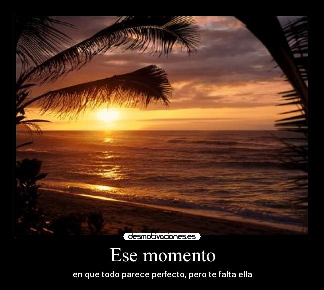 carteles cola desmotivaciones