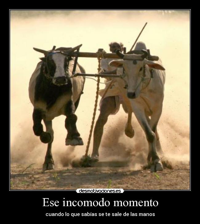 Ese incomodo momento - 