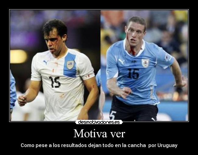 Motiva ver - 